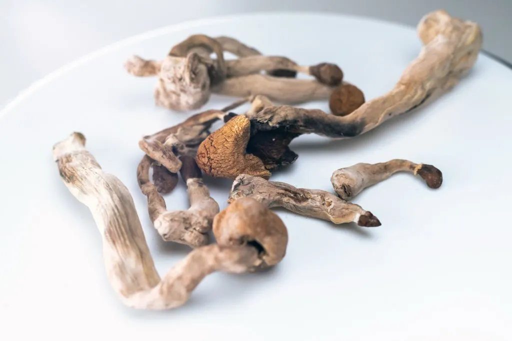 Magic Mushrooms in UK